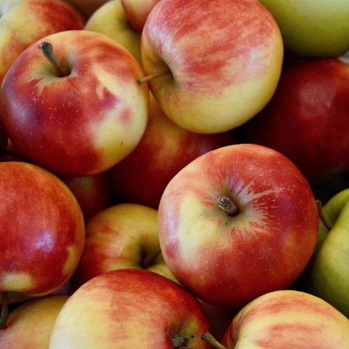 Van der Valk Purmerend image 6